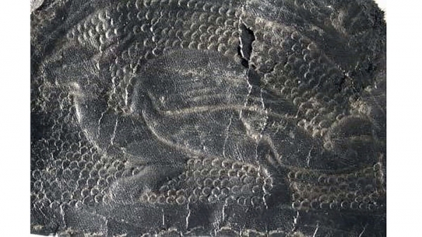 Кожа с драконом: необычная находка археологов в Йоркшире
